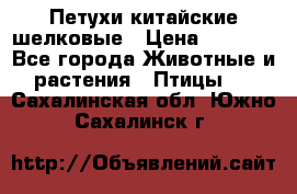 Петухи китайские шелковые › Цена ­ 1 000 - Все города Животные и растения » Птицы   . Сахалинская обл.,Южно-Сахалинск г.